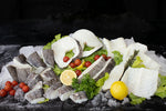 Fishes_Snow Treasures
