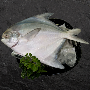 
                
                    Load image into Gallery viewer, Chinese Pomfret (400-600g)
                
            
