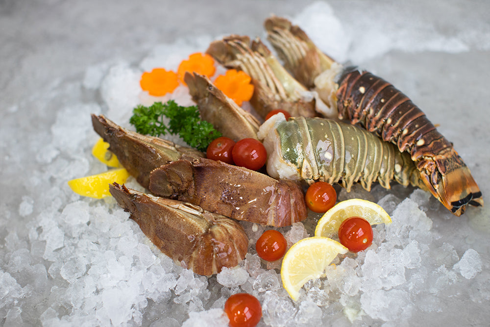 Crustacean_Snow Treasures