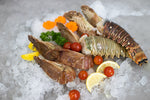 Crustacean_Snow Treasures