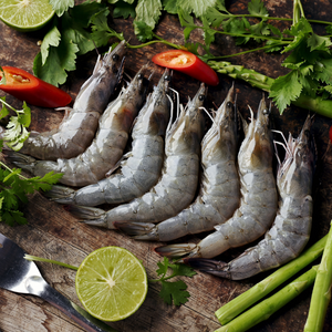 Live Frozen Raw Grey Prawns 1KG