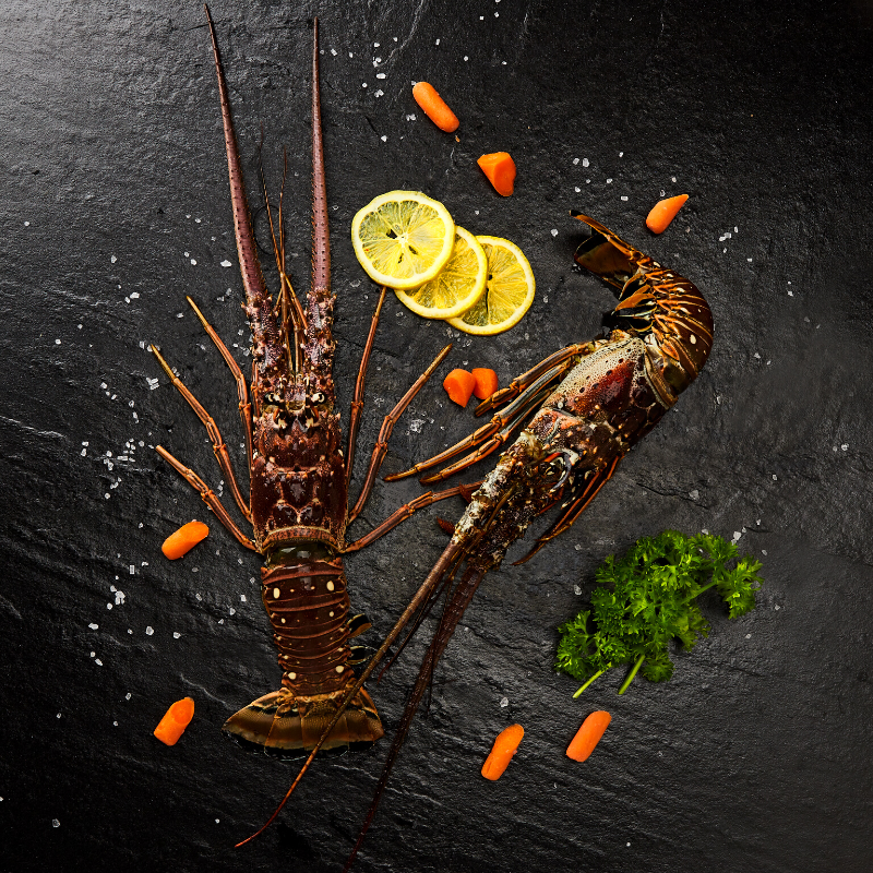 Premium Rock Lobster 2Pc (500g-600g/Pc)